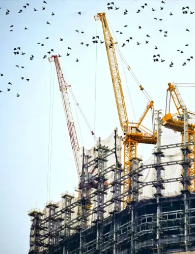 Market Entry Strategy for International Construction Firm