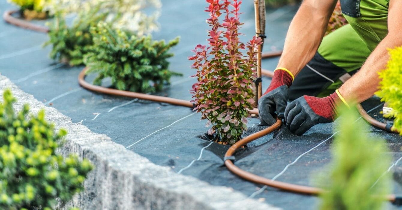 getty-images-6bVCs93aNnA-unsplash Sustainable landscaping Saudi Arabia: A person in gardening gloves adjusts a drip irrigation tube next to colorful shrubs in a landscaped area.